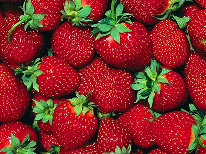 strawberry-photo