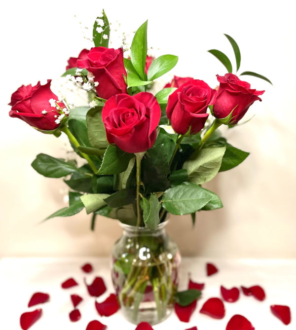 Bundle of 6 Red Roses